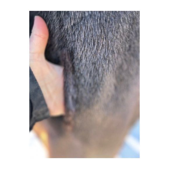 Vintage 50s Sheared Beaver Long Fur Coat Brown Balloon Sleeves Fuchsia Satin - Picture 15 of 16